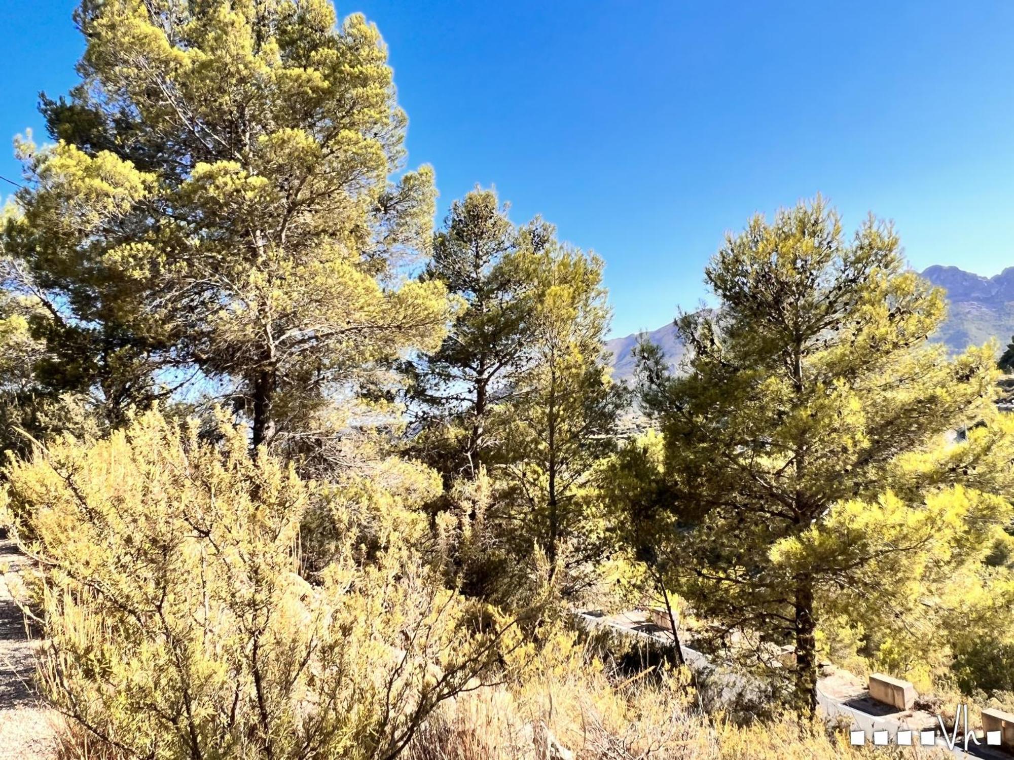 VH CostaBlanca - CALIMA Villa Benissa Esterno foto
